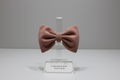 Barrette noeud vintage